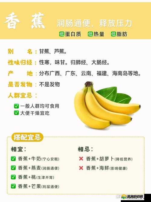 香蕉、草莓、黄瓜、丝瓜、番茄，这些蔬果到底有何独特魅力与营养价值？