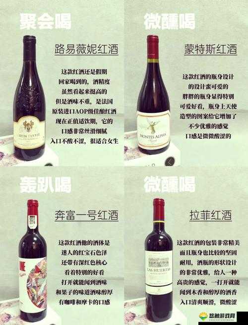 这瓶红酒是给你下面喝？探秘其独特魅力与饮用体验大揭秘