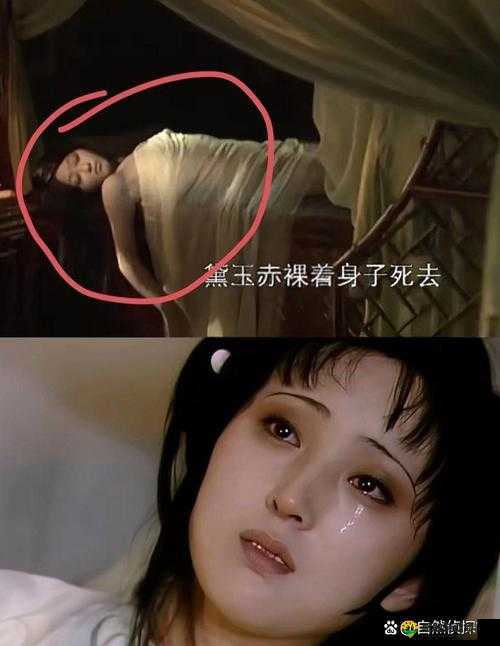 黛玉初试金箍棒第二章究竟有何精彩？快来一探究竟