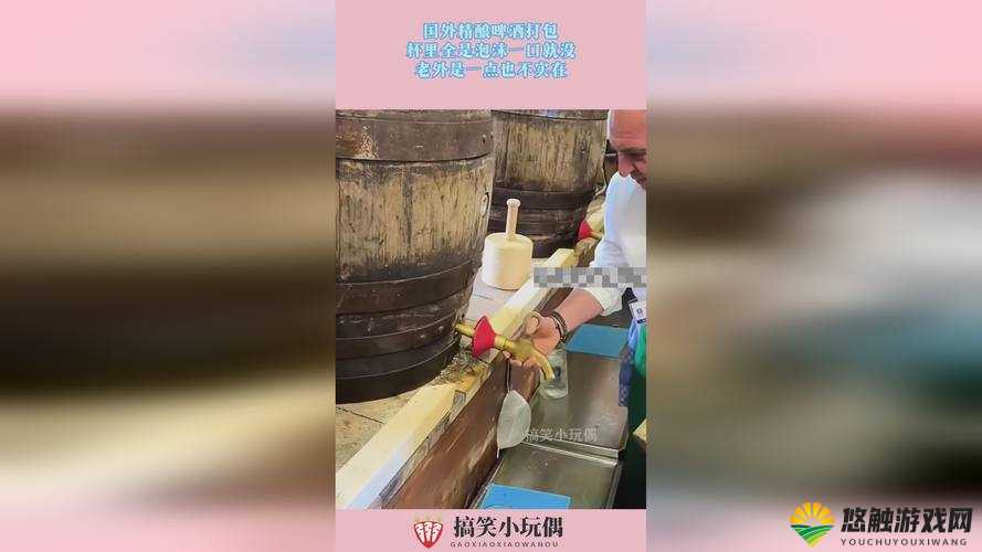 提问：成熟 50wx 老狼大豆行情如何？这里有非常大气的免费资源等你来