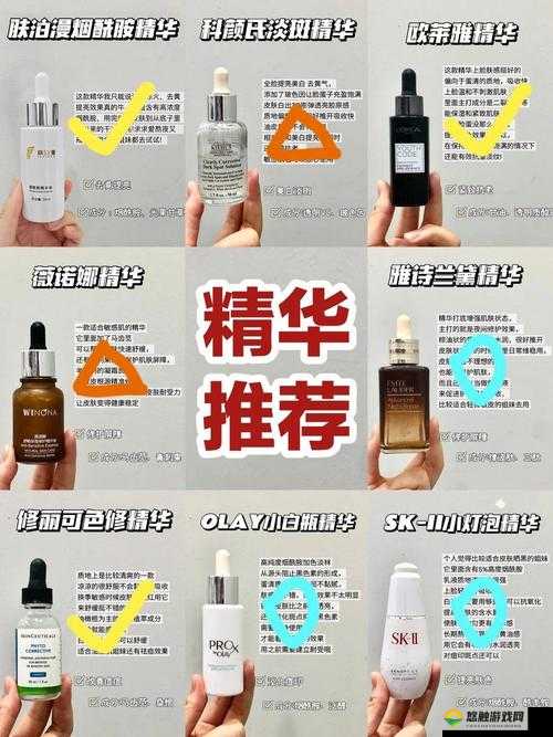 无人精华区一区和二区究竟有何不同?全面解析两者差异点在哪