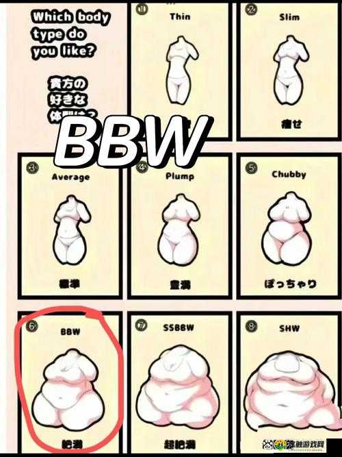 关于淑女bbwbbwbbwbbw到底是什么意思?快来一探究竟
