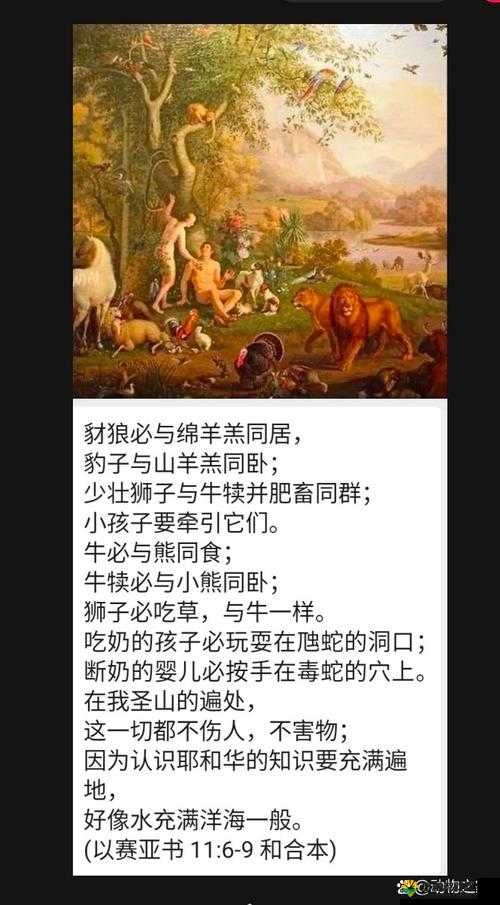 人与兽之间究竟有着怎样的关系？探秘人与兽那些不为人知的故事