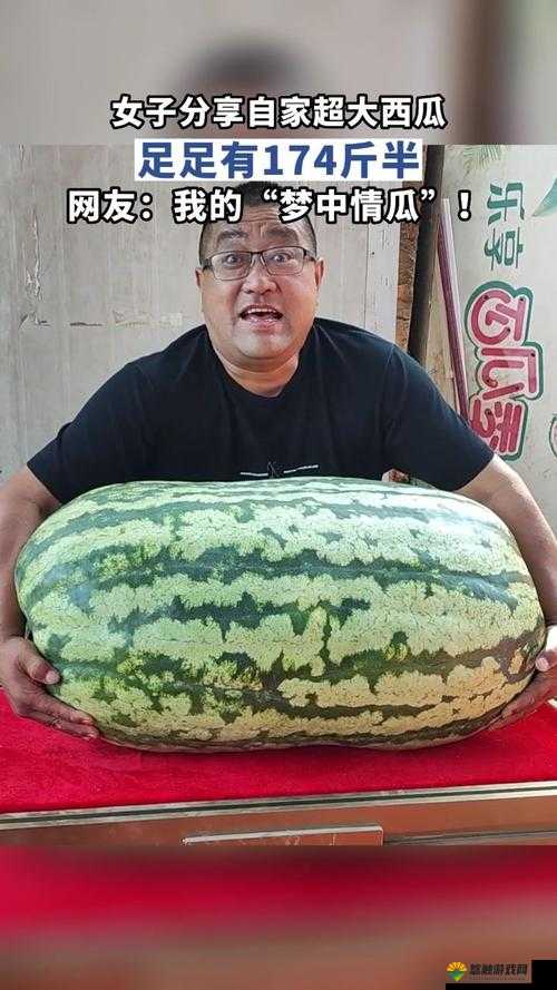 17 今日大瓜究竟是什么？为何引发全网热议？快来一探究竟