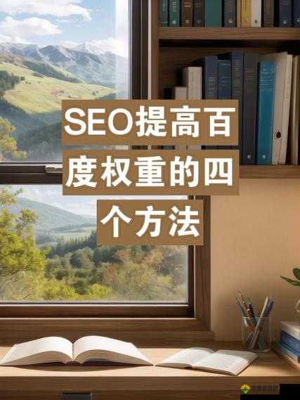 如何在百度 SEO 优化中提高网站权重？听了这场讲座你就懂了