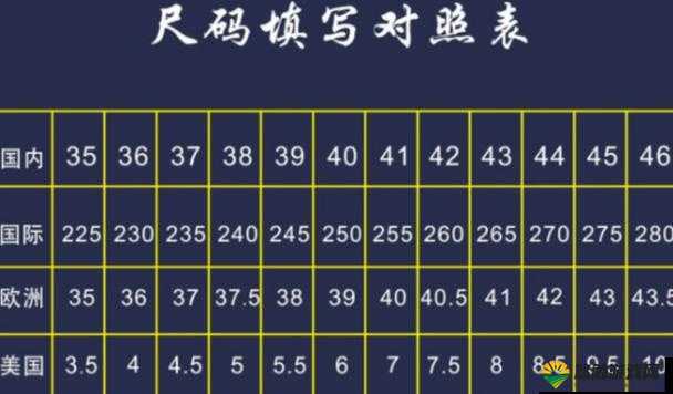 国产尺码与欧洲尺码有何不同?CCTV 带你了解尺码差异全解析
