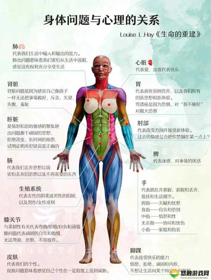 手从小腹一路开到丛林处：探索身体与自然的深层连接与心灵疗愈之旅