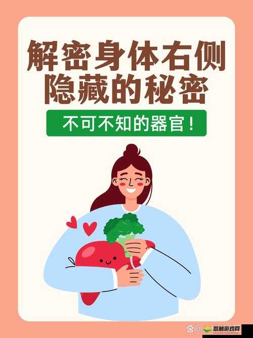 探秘大手往哪秘密花园探去，究竟隐藏着怎样的秘密与精彩？