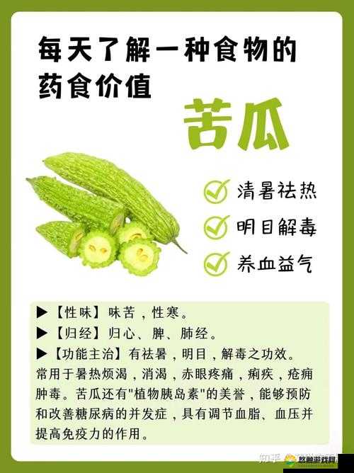 1313 苦瓜有何特别之处?带你了解 1313 苦瓜的神奇功效与价值