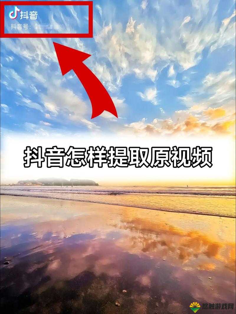 成品短视频 app 源码怎么下载？教你几招轻松获取