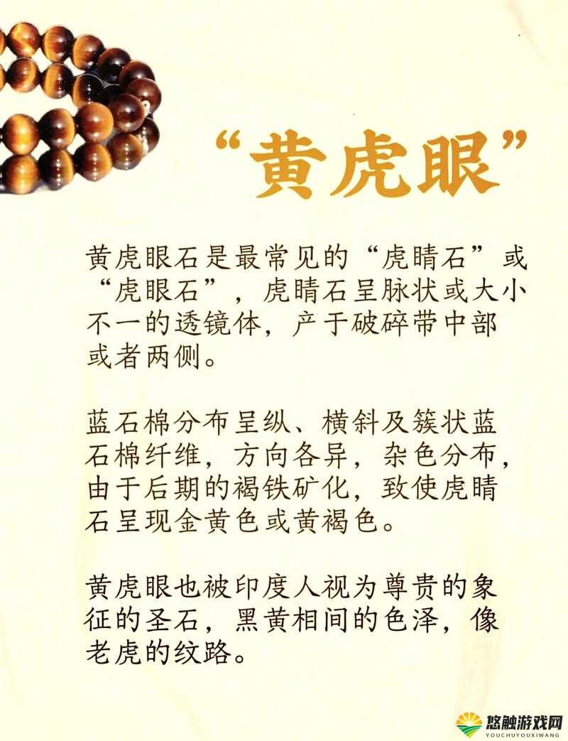 又黄又猛又粗：揭秘自然界中最具视觉冲击力的生物特征与生存策略