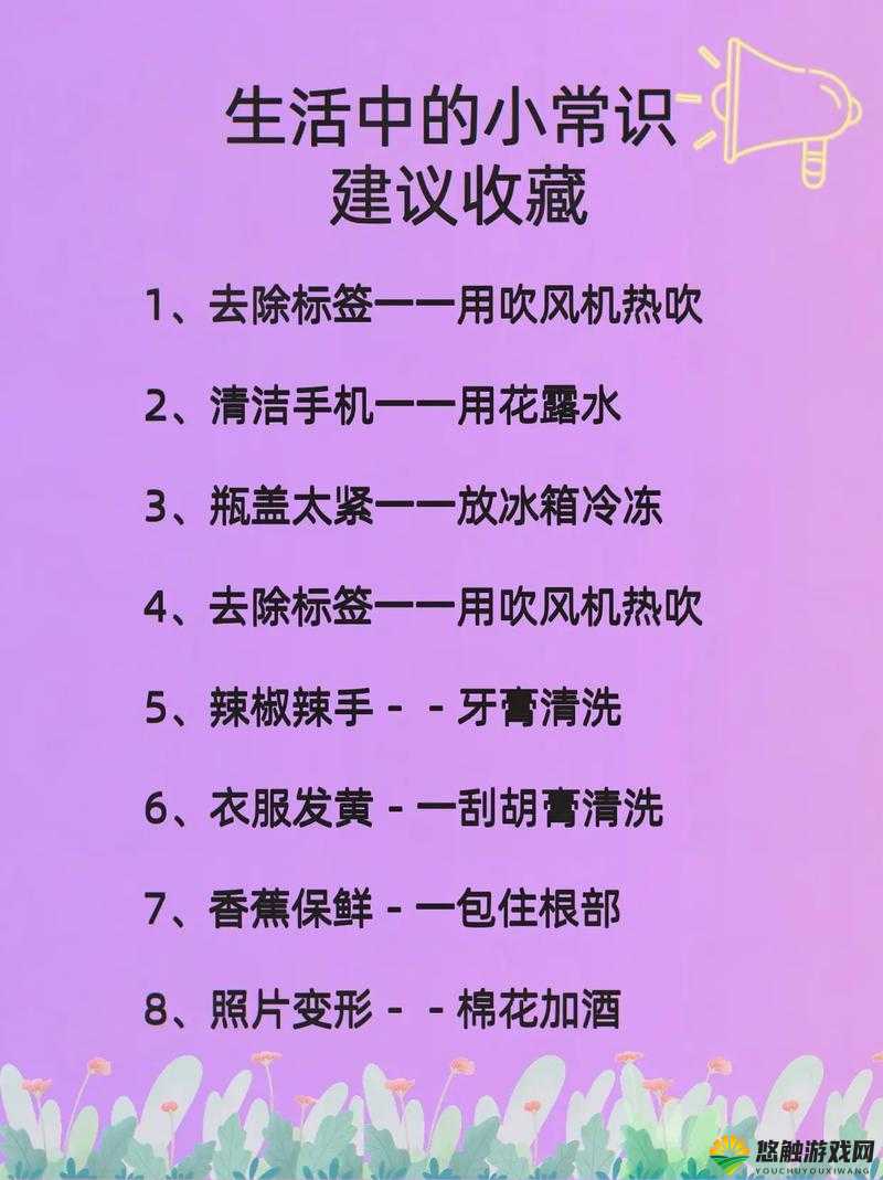 天天综合天天：全方位解析日常生活中的综合技巧与实用指南