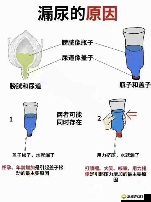 撒尿XXXⅩHD：揭秘这一神秘现象背后的科学原理与健康影响