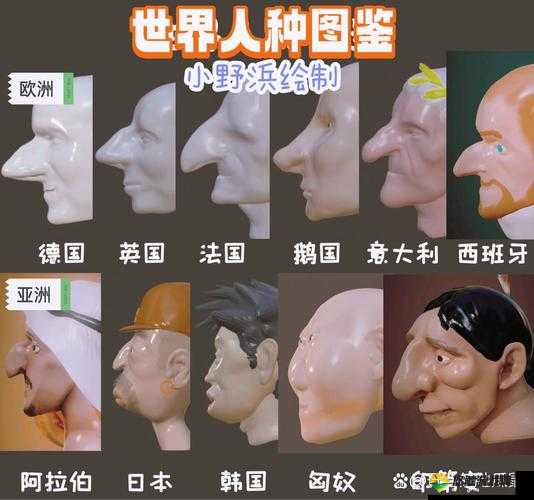 欧洲人与亚洲人面部特征大揭秘：有哪些明显差异和独特之处？