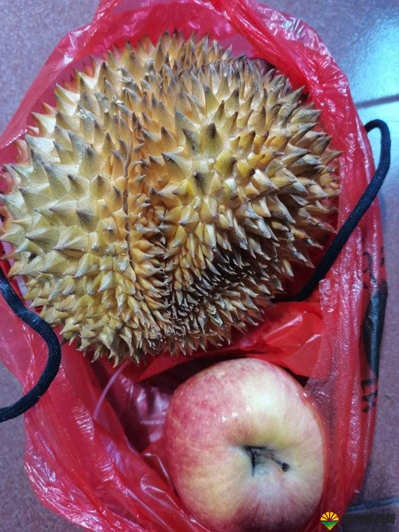 榴莲官方ios下载安装指南：如何在苹果设备上快速安全地获取榴莲应用？