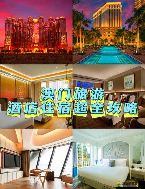 澳门帝濠酒店住宿体验：豪华设施与便捷交通的完美结合
