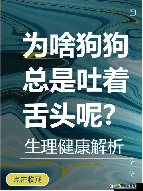 男人与雌性宠物交zZZZ现象解析：背后的心理与社会影响探讨