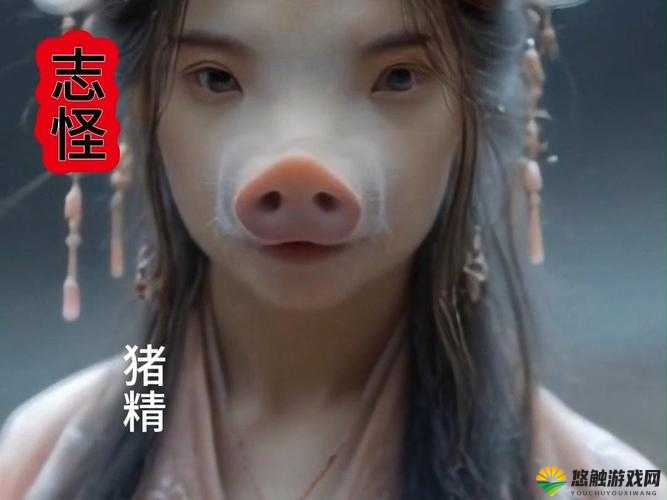 寻仙手游猪妖王玩法攻略，寻仙手游猪妖王怎么打