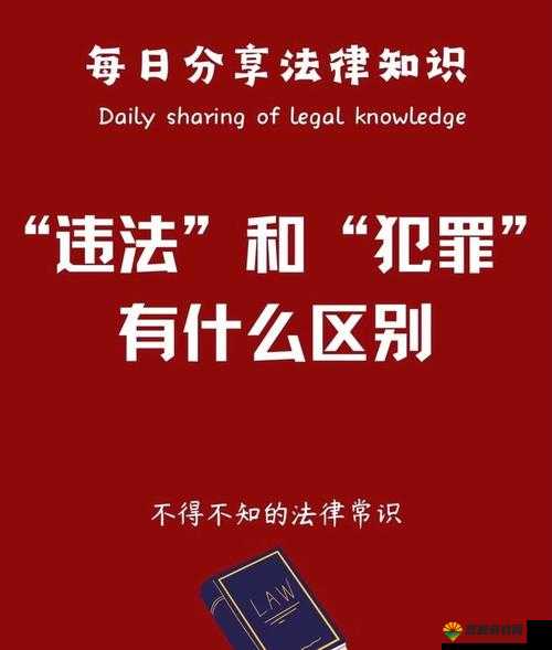 违法行为有哪些?全面解析常见的违法行为及其法律后果