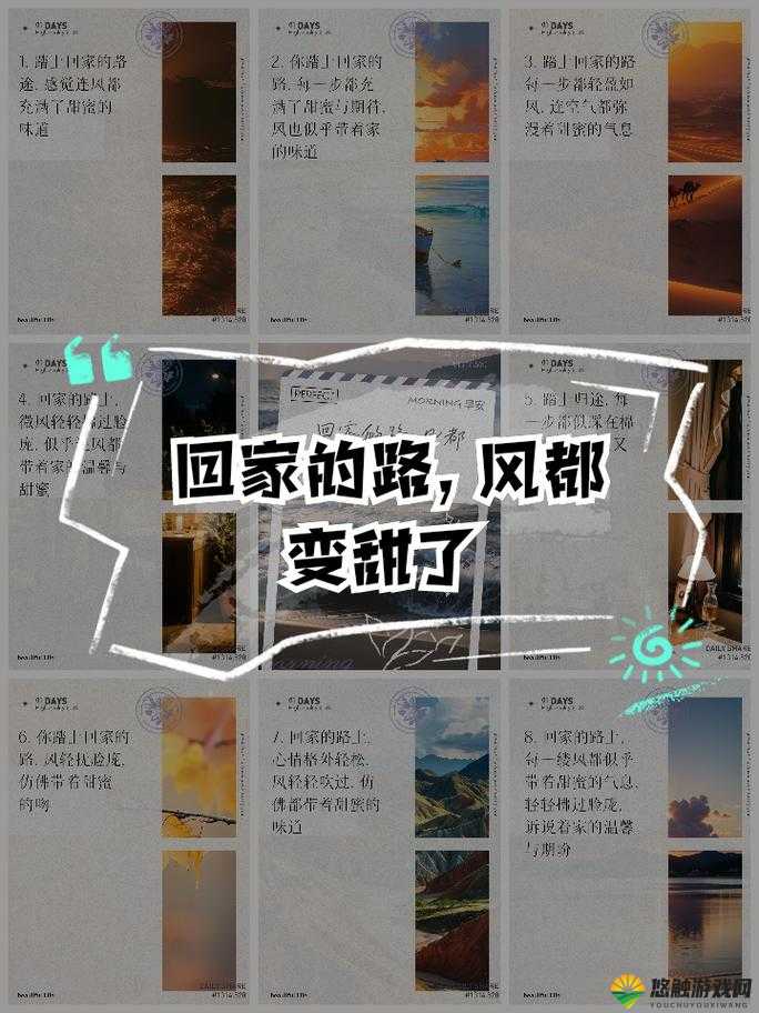 今日看料后踏上回家路，这其中有着怎样的故事与经历呢？