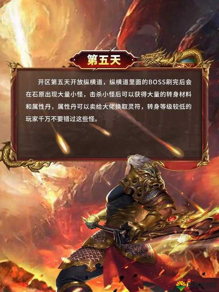 热血龙城新手攻略,全面解析与指南