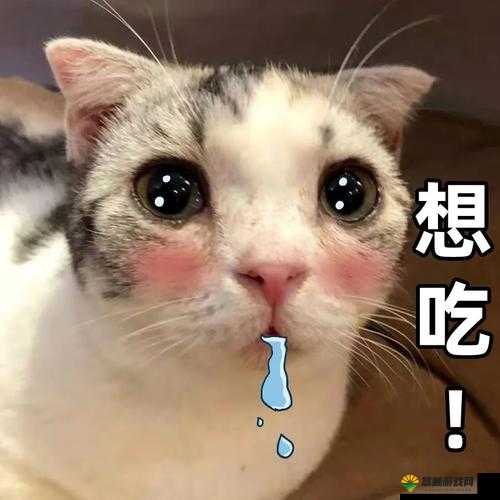 翻白眼流口水表情包大合集：搞笑瞬间全收录，网友直呼太真实了
