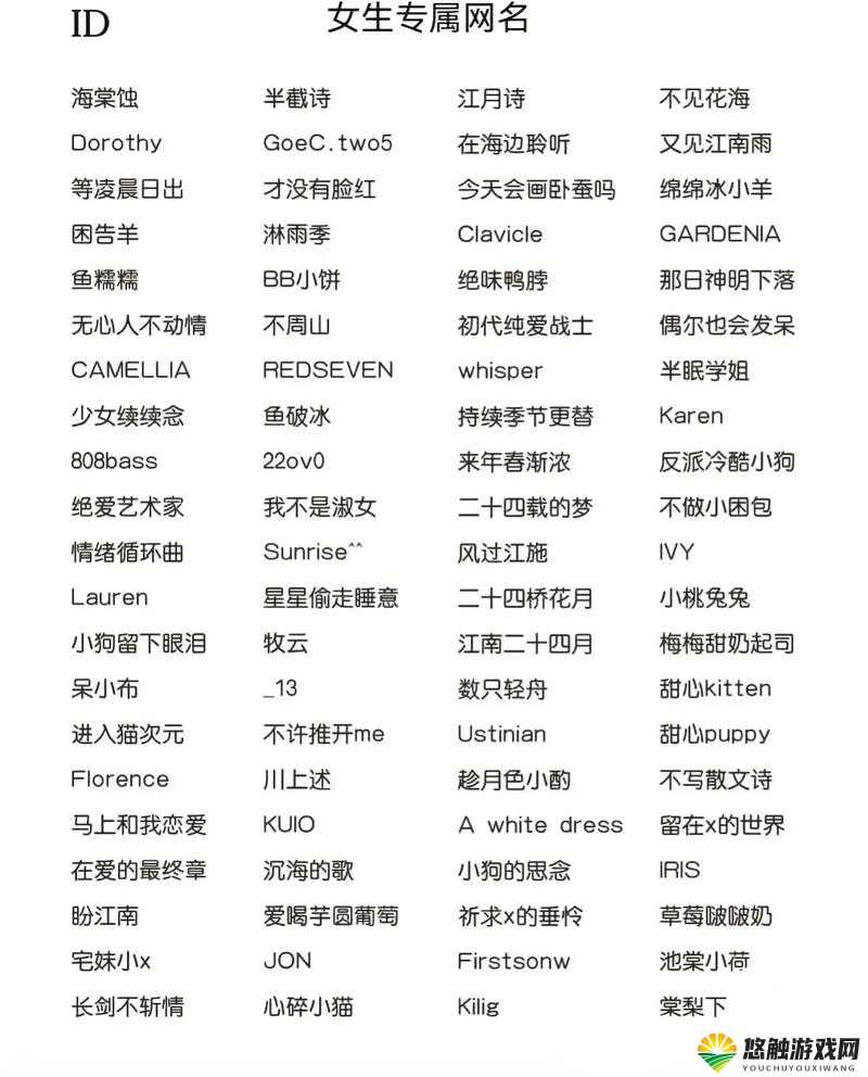 王者荣耀闺蜜名字一对推荐与闺蜜名字二黑网名在资源管理中的重要性及高效利用策略