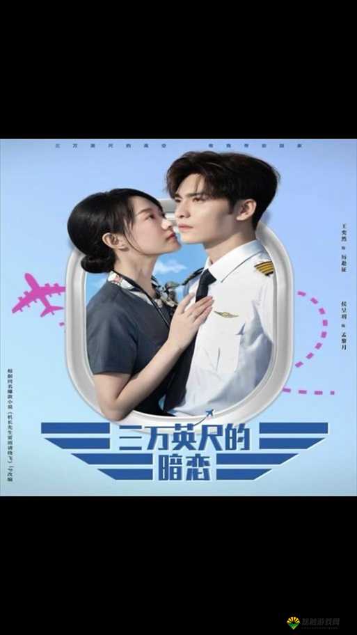 三叶草剧场电视剧免费观看下载，你需要知道的一切