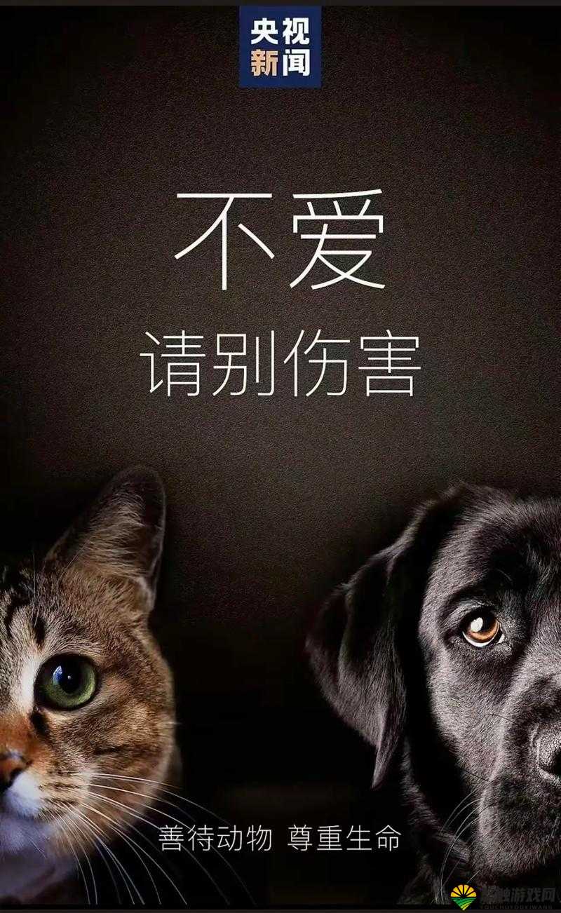 人与动物的关系：是朋友还是主宰？