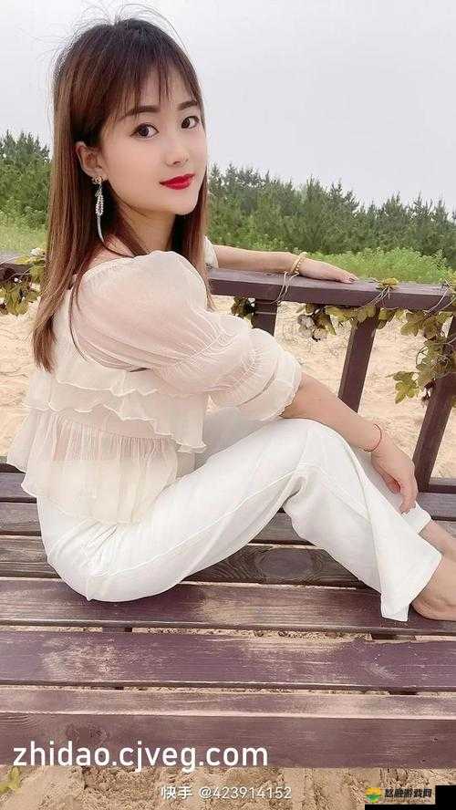 激战后厨 2 海外版究竟有何独特魅力？引发全网热议的背后真相大揭秘