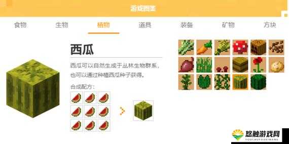 我的世界西瓜种植与用途全攻略
