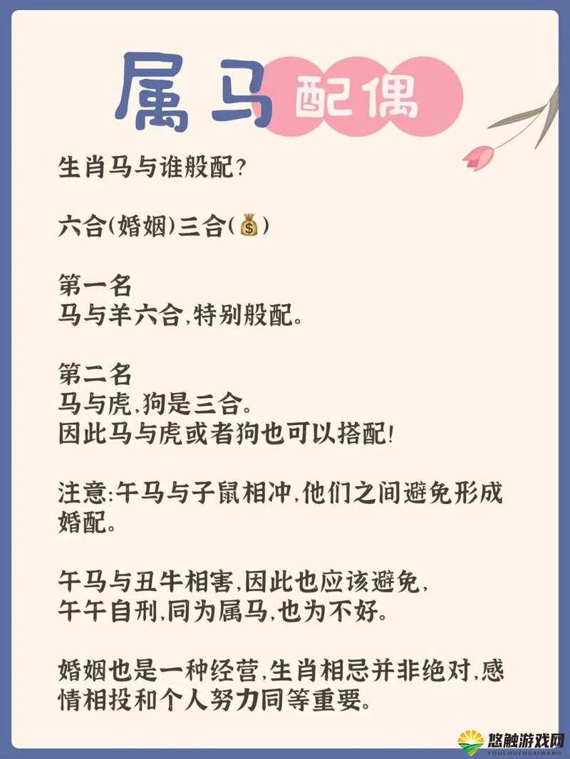 人马畜禽最佳配对策略解析：如何实现高效养殖与管理的完美结合？