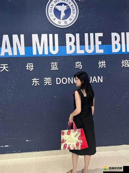 推特蓝鸟版下载相关问题解答，如何轻松下载推特蓝鸟版？快来了解
