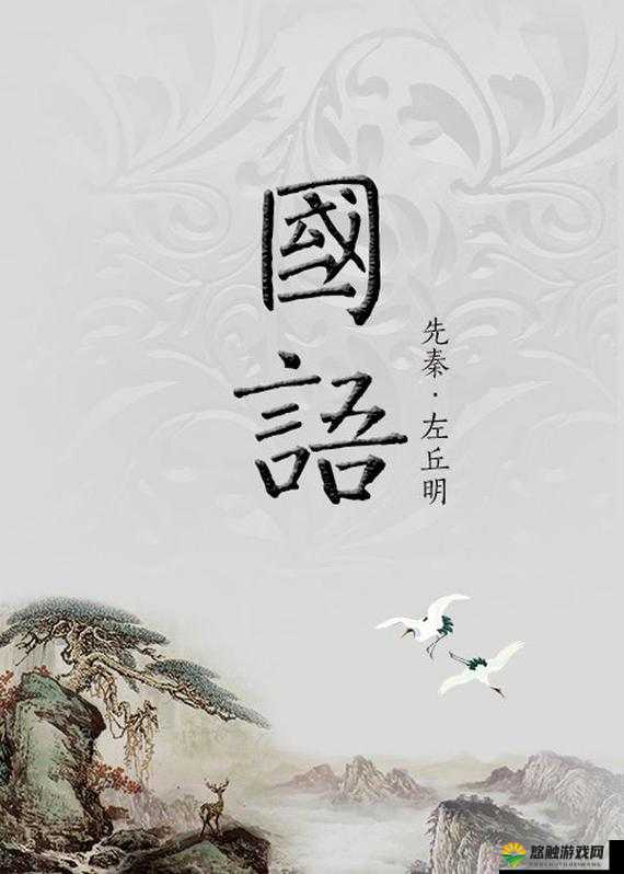 2019 国语中字到底有多精彩？探寻最好的 2019 国语中字背后的魅力与价值