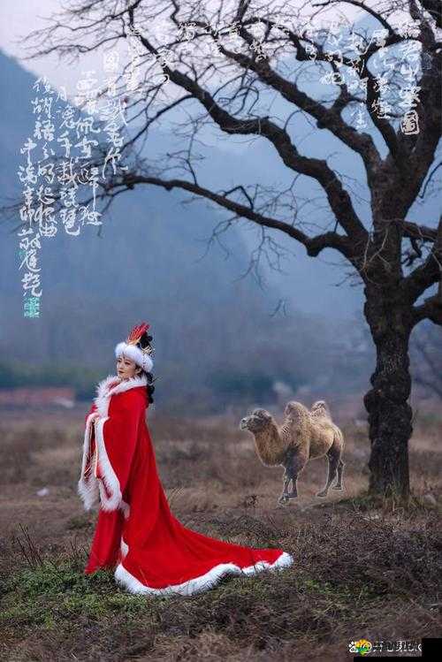 王昭君：和亲之路与和亲使命