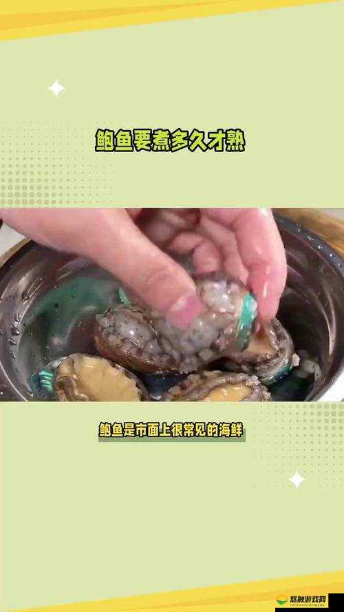 鲍鱼直播最新动态：揭秘海洋珍品的实时捕捞过程与烹饪技巧全解析