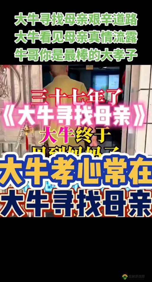 好姑娘 3 大牛究竟是什么意思？为何好姑娘与大牛备受关注？