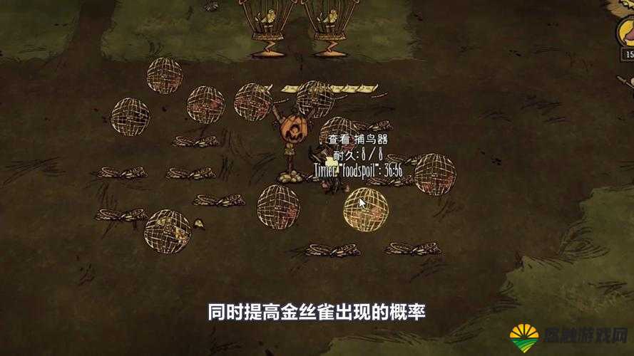 饥荒联机版金丝雀羽毛怎么获得，刷金丝雀羽毛方法详解
