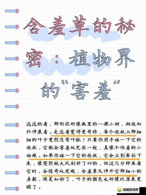 含羞草的神秘数字：揭示三个隐藏的数字密码，探索植物的奇妙世界