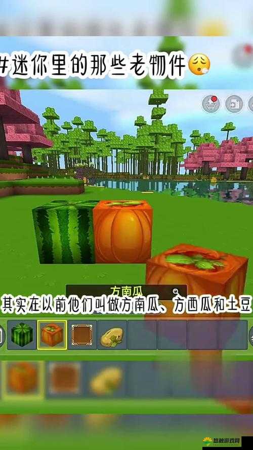 迷你世界南瓜深度解析，探寻南瓜的奥秘