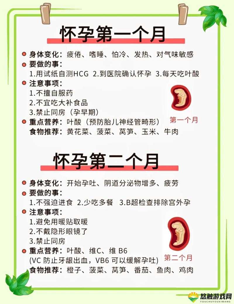 妈妈怀了我的孩子，咨询医生：孕期注意事项及健康管理全解析