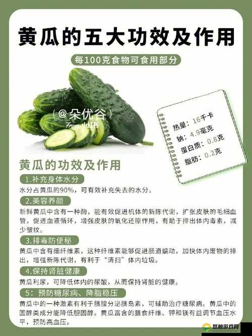 牛奶和黄瓜的完美搭配：健康饮食新选择与美容护肤小妙招