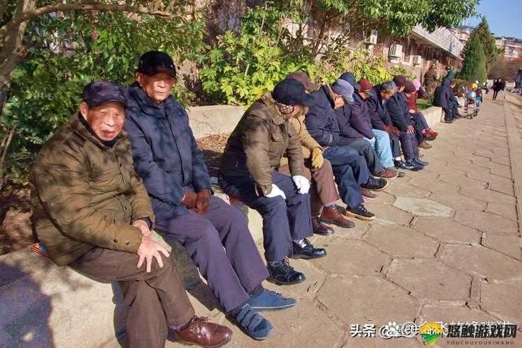 人文艺术 344447 老人生存现状如何？