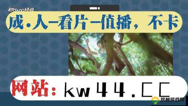 香蕉视频影院天天香蕉视频爽，日韩大陆影片精彩不断，为何它如此受欢迎？快来一探究竟