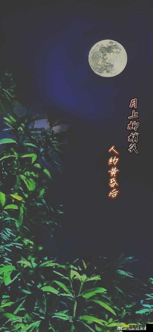 月上柳梢头，人约黄昏后——探索夜月 yy 直播间的浪漫之旅
