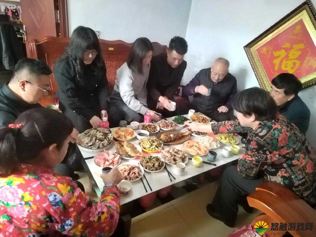 大团圆结2亲情会闪闪发光：温暖瞬间，家庭团聚的感人时刻全记录