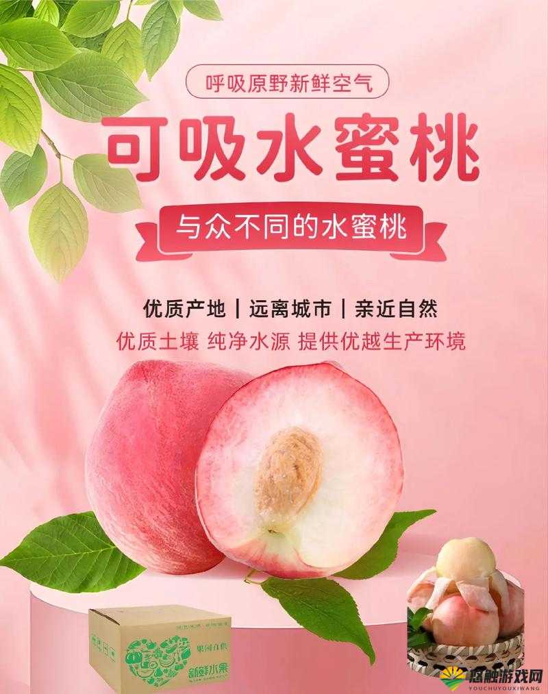 水蜜桃为什么这么受欢迎？是因为它的甜美多汁吗？还是因为它的丰富营养？快来了解一下吧
