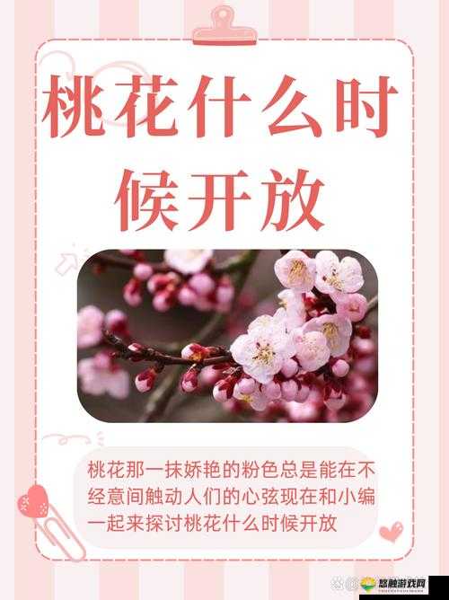 桃花盛开的午夜，为何会让人感到痒痒？