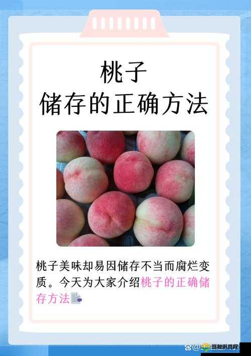 如何找到蜜桃㊙️入口?这个问题困扰着很多人