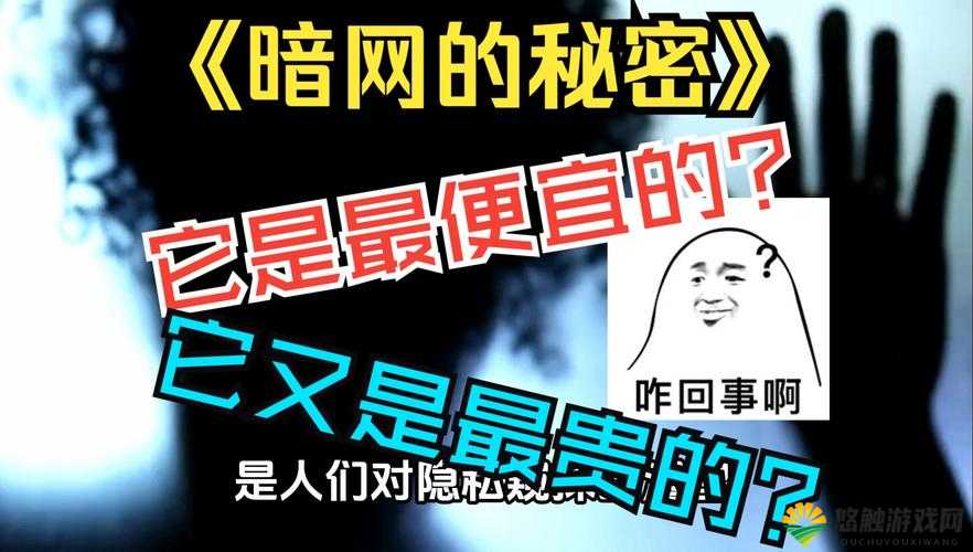独家爆料：黑料网破解版背后的秘密，你知道多少？